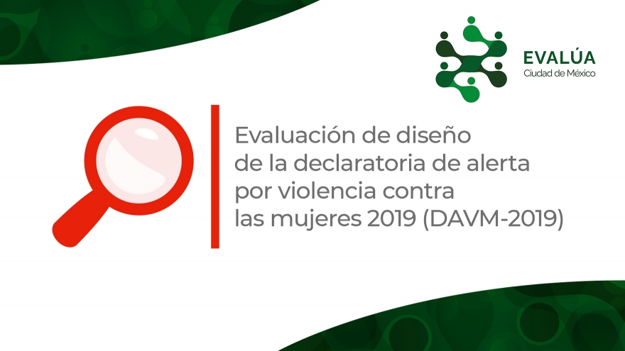 Evaluación de la declaratoria de alerta de violencia contra las mujeres, 2019.