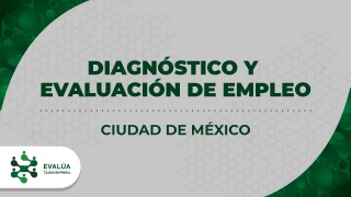 Evaluación de las Políticas Públicas de Empleo en la Ciudad de México, 2021